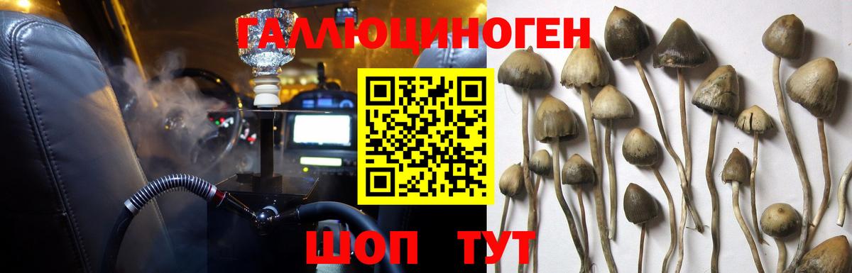 Галлюциногенные грибы мицелий Уссурийск